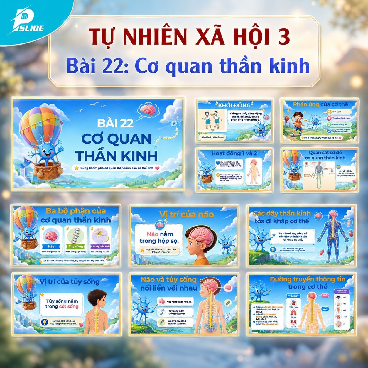 Giáo án Tự nhiên Xã hội lớp 3 - Bài 22: Cơ quan thần kinh