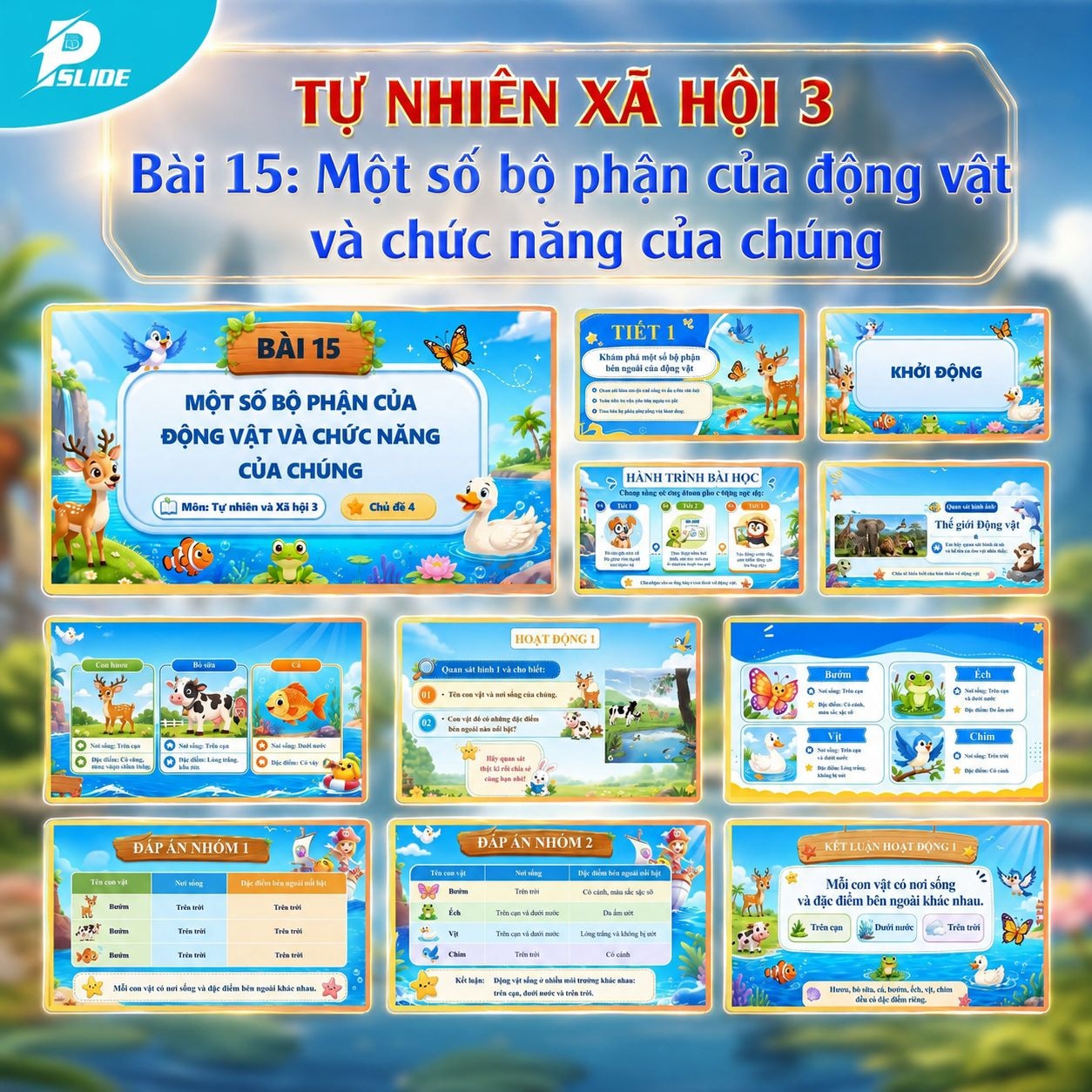 Giáo án Tự nhiên Xã hội lớp 3 - Bài 15: Một số bộ phận của động vật và chức năng của chúng