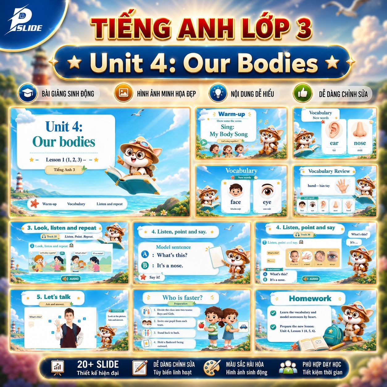 Giáo án Tiếng Anh lớp 3 - Unit 4: Our Bodies