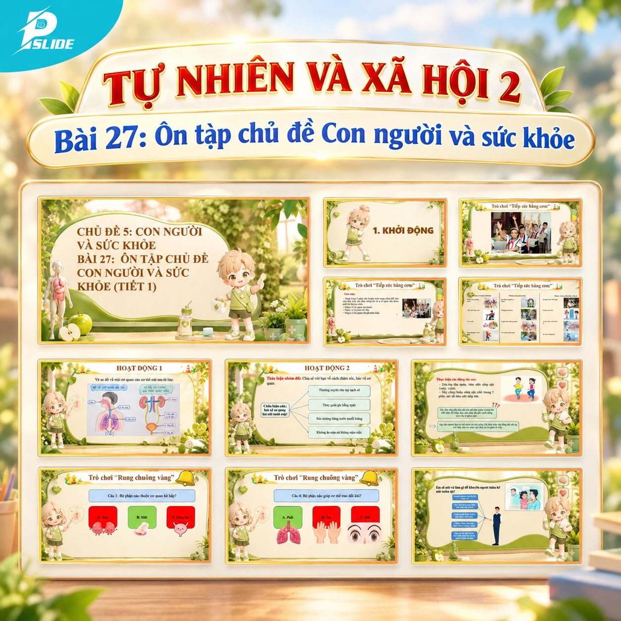 Giáo án Tự nhiên và Xã hội lớp 2 - Bài 27: Ôn tập chủ đề Con người và sức khỏe