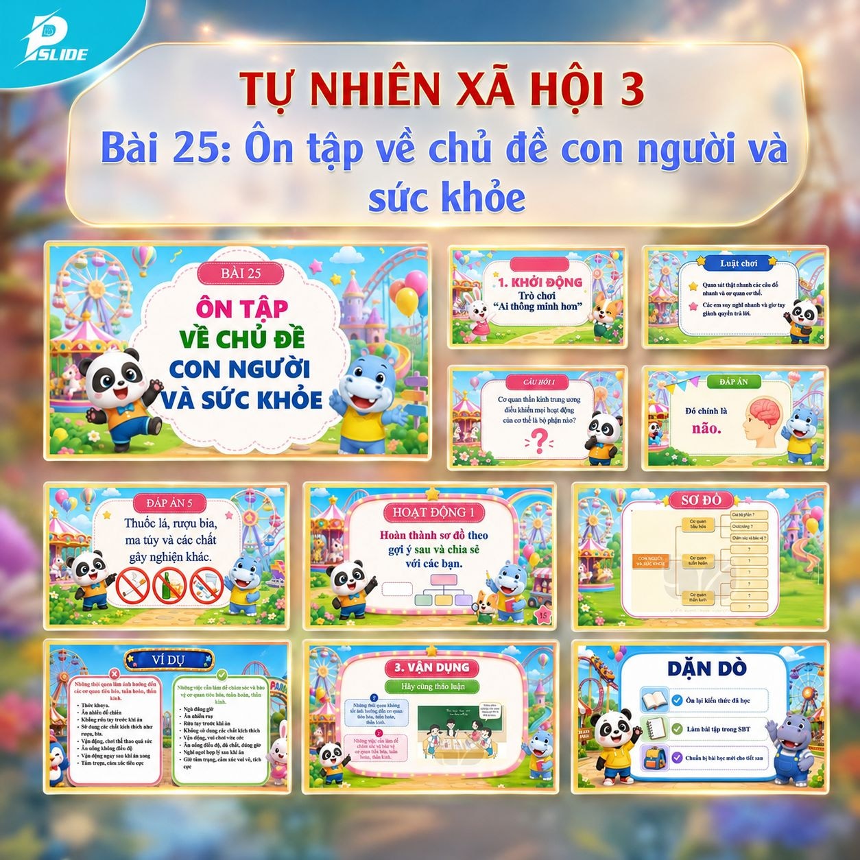 Giáo án Tự nhiên Xã hội lớp 3 - Bài 25: Ôn tập về chủ đề con người và sức khỏe